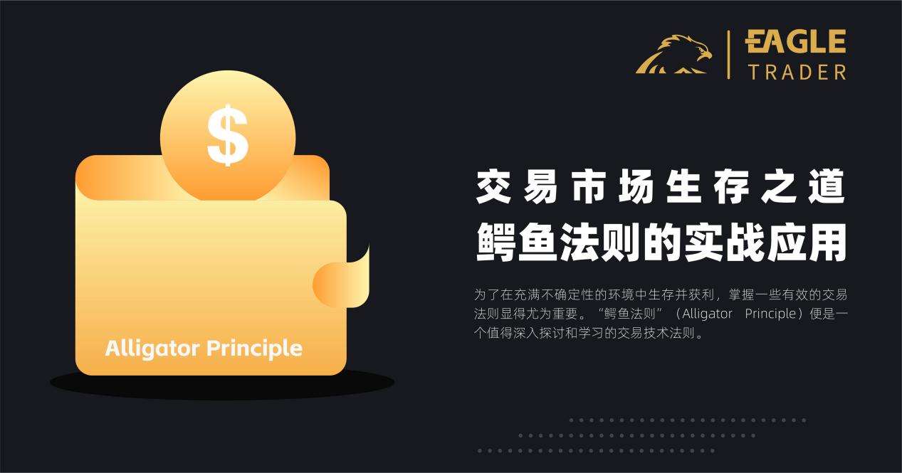 ȫ��ʮ�ѹ��������ƽ̨